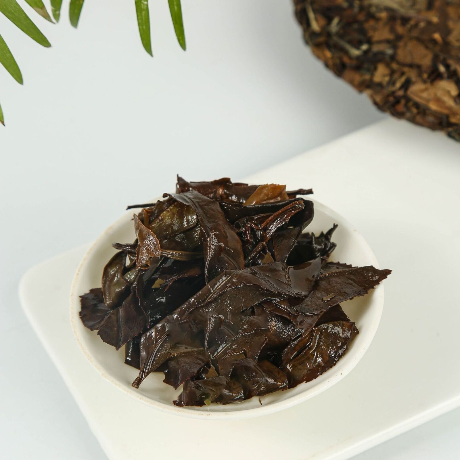 HelloYoung 350g Old white tea fuding white tea white peony gongmei tea shoumei tea cake