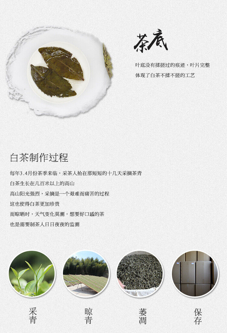 HelloYoung Golden Leaf White Tea China Mint Aroma White Tea Organic Ancient Tree 300g
