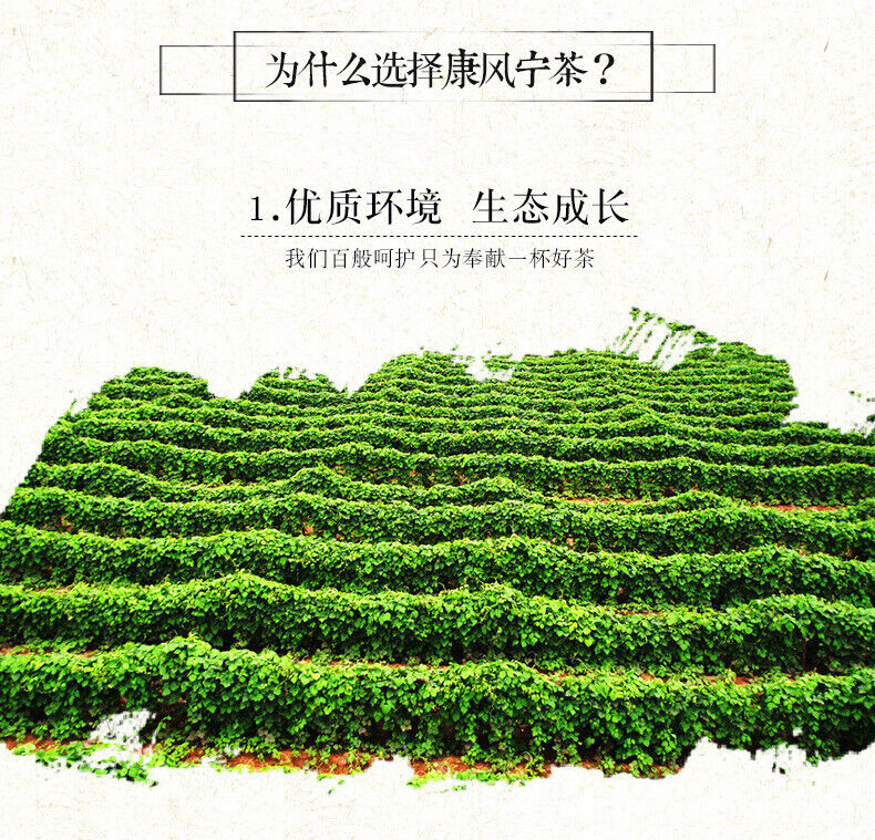 Kang Feng Ning Bag Tea Pain Healthy Wind Wellness Kang Feng Ning Tea 2.5g 20bags