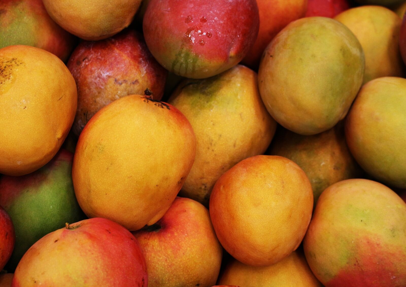 Bio-Mangopulver - Nicht gentechnisch verändert, ungeschwefelt, ideal zum Backen