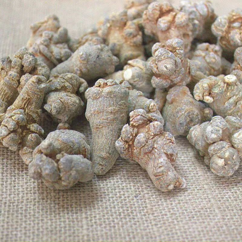 Authentic Panax Ginseng Powder Wild Premium Pure Panax Ginseng Powder