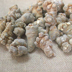 Authentic Panax Ginseng Powder Wild Premium Pure Panax Ginseng Powder