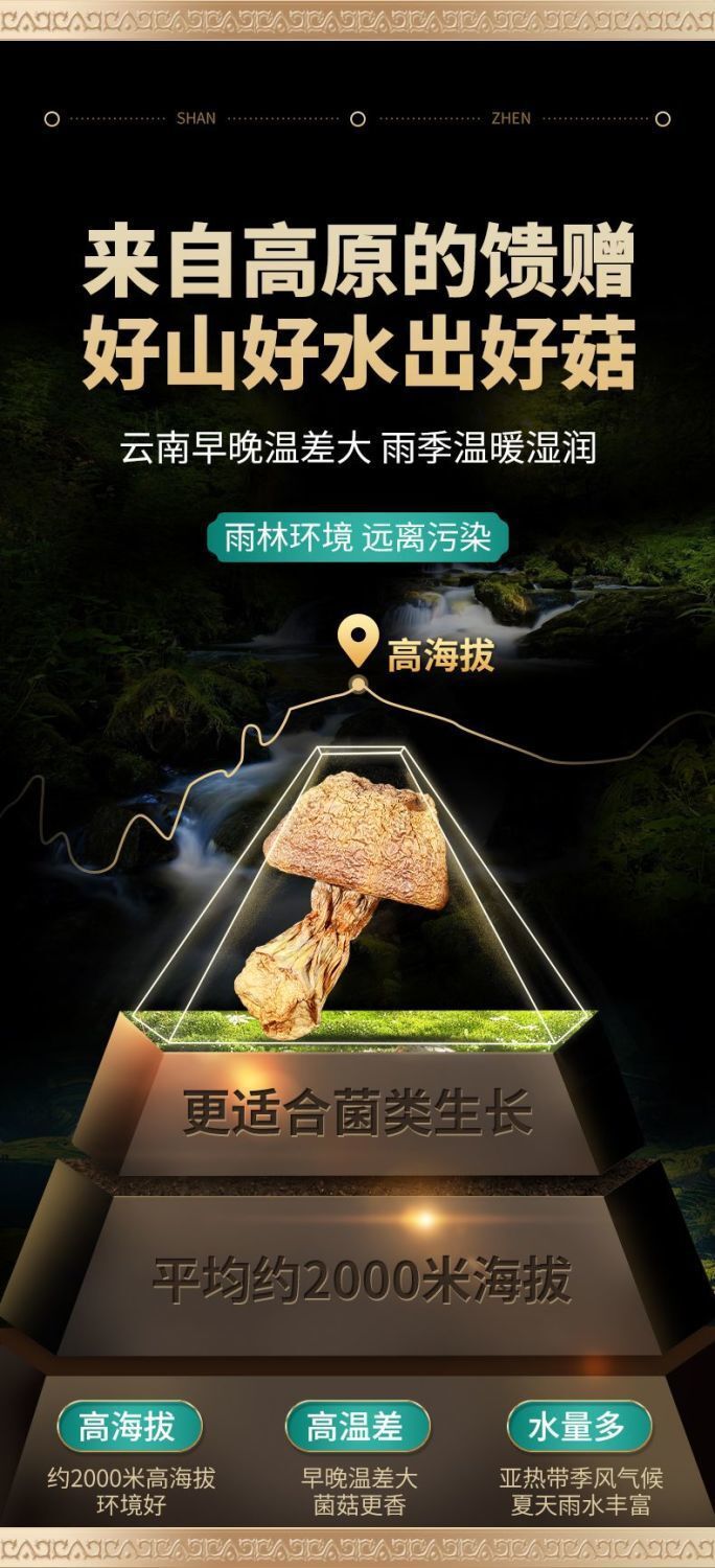 Yunnan Ji Song Rong Dried Matsutake - Sulfur-Free, for Soup