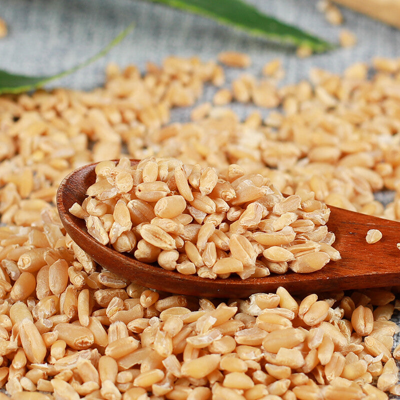 500g Original Healthy Herbal TeaSelected High-quality Healthy Herbal Wheat 精选浮小麦