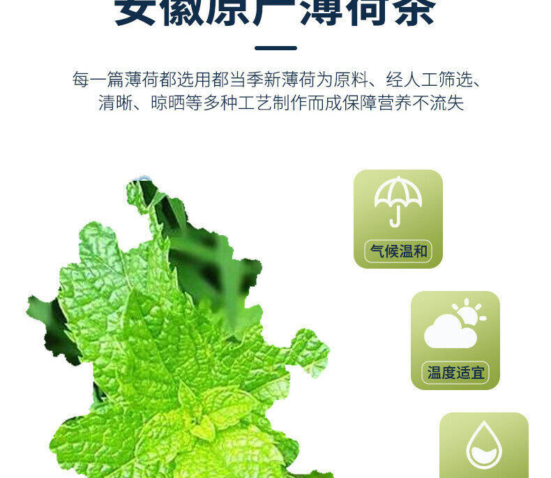 50g Minze Tee Kräutertee Frucht Tee Minze Blatt Kühler Tee Pfefferminze Lose Tee