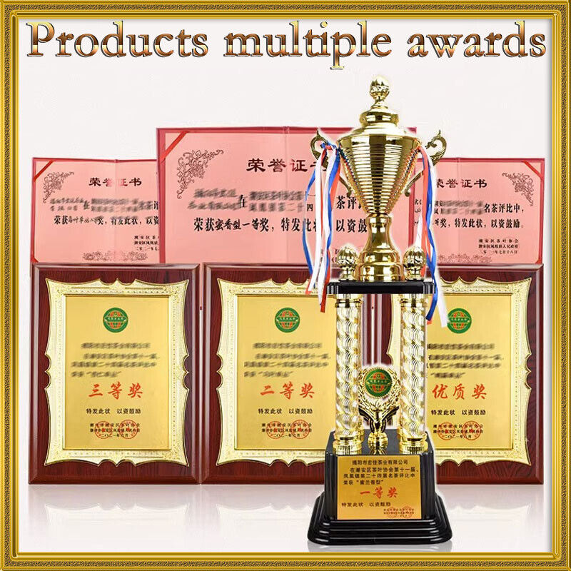 JinXuan Milk Oolong Tea Loose Leaf Oolong Green Tea Milky Oolong Tea Alishan Tea