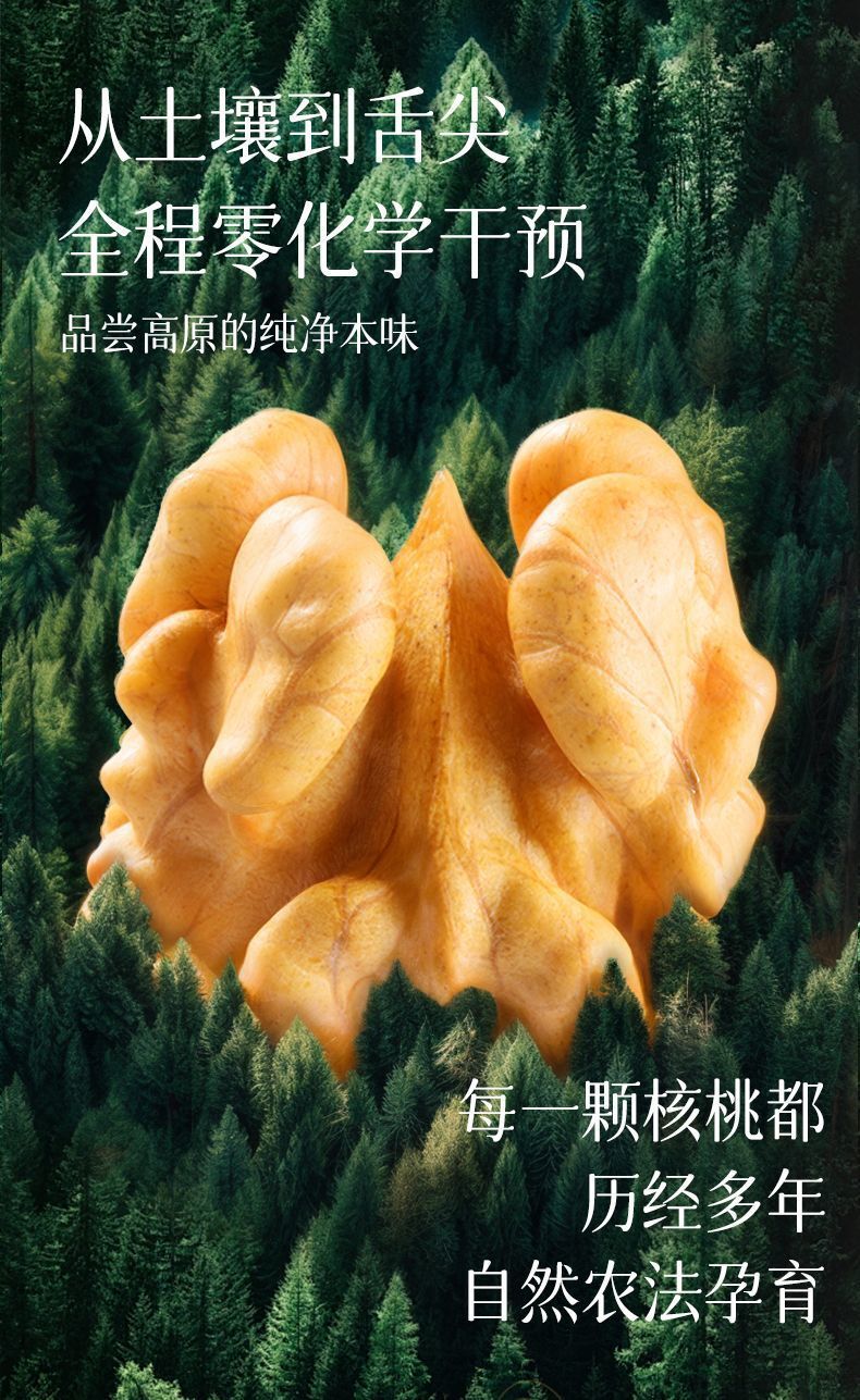 Organic Raw Walnuts – Fresh Shelled, No Additives
