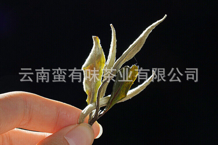 HelloYoung 500g Yunnan Jinggu Yangta Ancient Tree White Tea One Bud One Leaf Scattered Tea