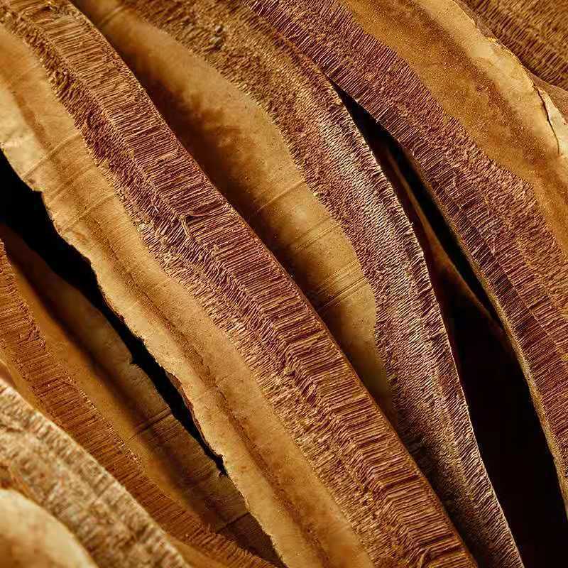 Changbai Mountain Lingzhi Tablet Red Ganoderma lucidum Wood Ganoderma lucidum
