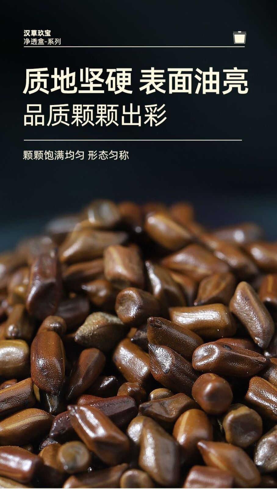 100% Natural Roasted Cassia Seed Tea Pure Herbal Digestive Infusion