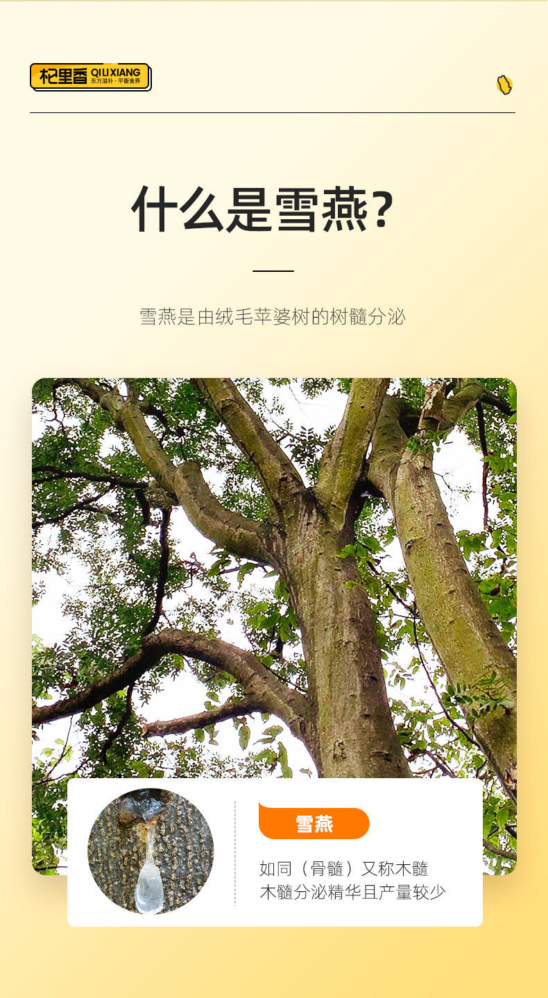 Natural Tragacanth Gum Yunnan Brushed Snow Swallow 35g Canned