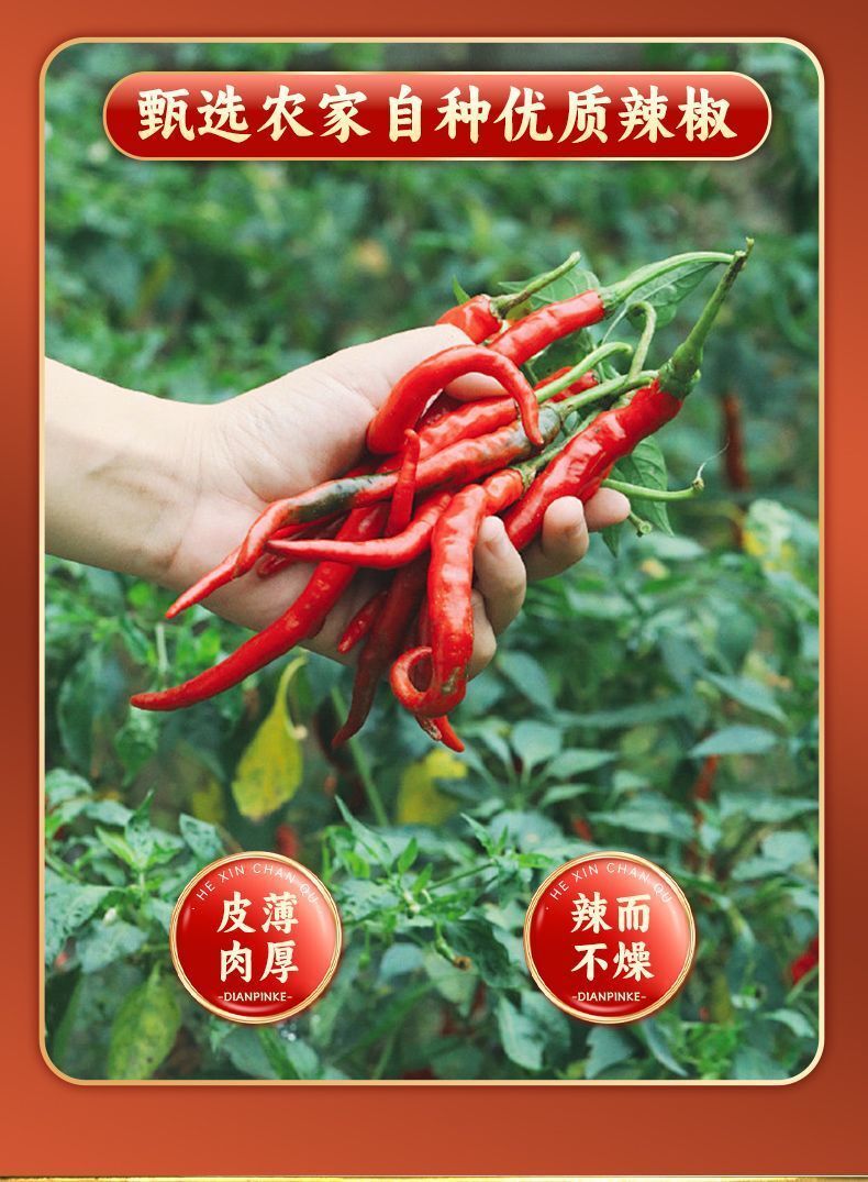Yunnan Chili Powder – Spicy Dipping Sauce & Hot Pot Seasoning