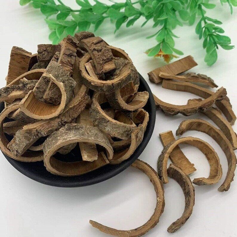 Recommend Organic Dried Cortex Erythrinae Bark , Coralbean Bark, Erythrina Bark