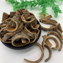 Recommend Organic Dried Cortex Erythrinae Bark , Coralbean Bark, Erythrina Bark