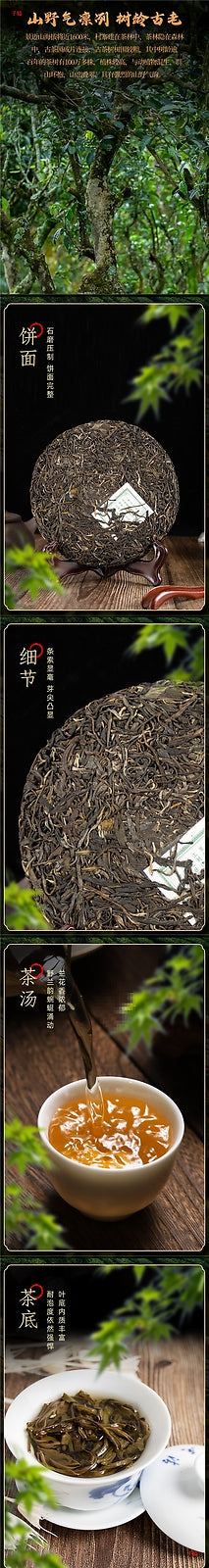 Jingmai Pu'er tea, raw tea, Yunnan Qizi cake tea, Pu'er ancient tree tea