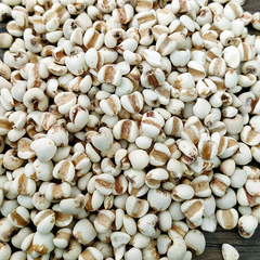 500g Job's Tears Guizhou Job's Tears bulk new powdered Job's Tears flower tea