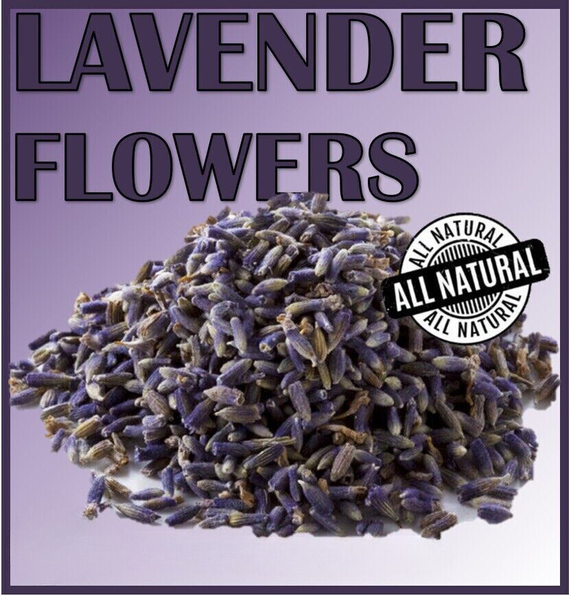 ORGANIC BULK Dried Lavender Flowers Buds - QUICK POST!