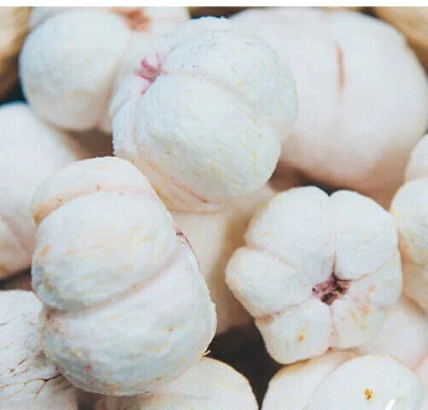 Chemical Free Pure Natural Freeze Dried Mangosteen Meat for Sanck 100g