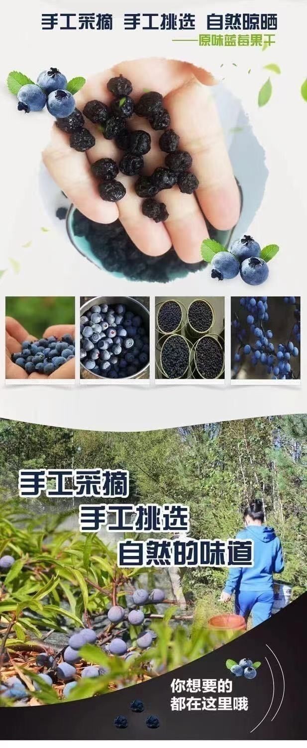 100% Natural Dried Wild Blueberries | No Sugar Added | Healthy Snack | 100g