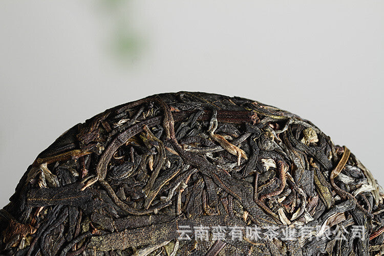 Yunnan Puerh Tea 100g Pasha Small Cake 2021 Big Tree Tea Puerh Raw Cake