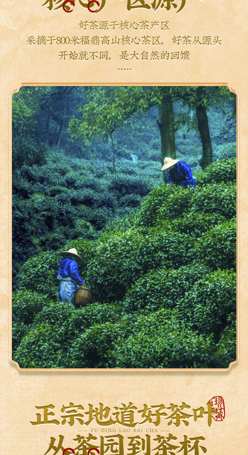 Fuding White Tea Shou Mei Chen Xiang Old White Tea Classic Tea Cake 350g