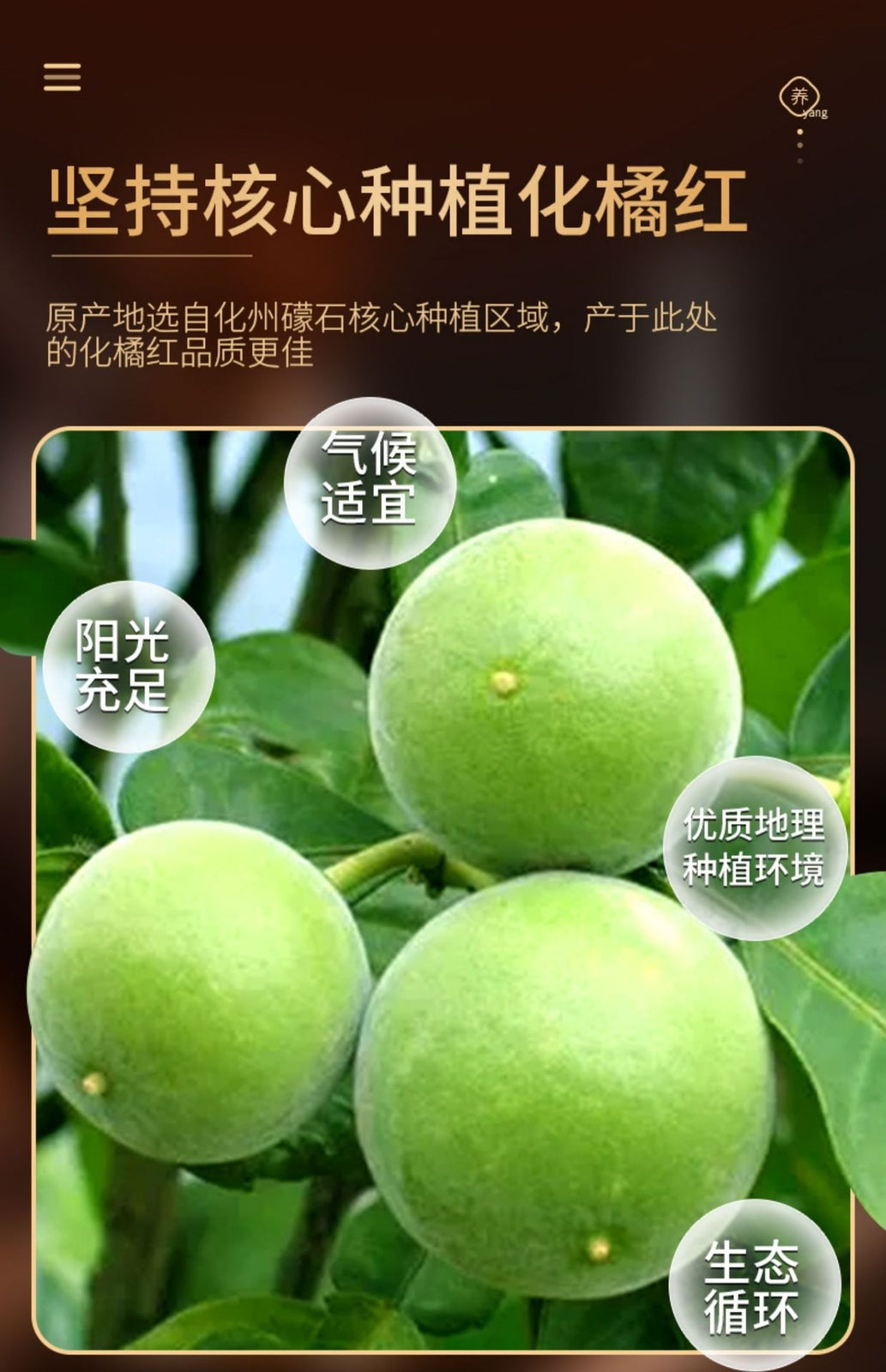 110g Huazhou Tomentose Pummelo Peel Slice Hua Ju Hong Citri Grandis Exocarpium