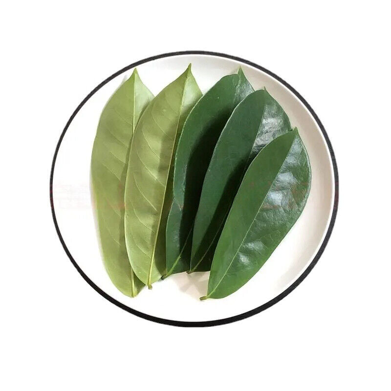 GRAVIOLA LEAF 100g Wild Harvest Soursop Custard Apple Annona muricata