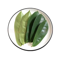 GRAVIOLA LEAF 100g Wild Harvest Soursop Custard Apple Annona muricata