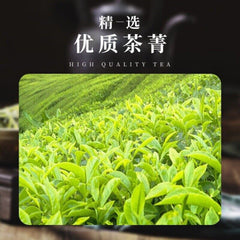 An No 4 Green Tea Iron Can Fresh Picked Premium Gift for Tea Lovers