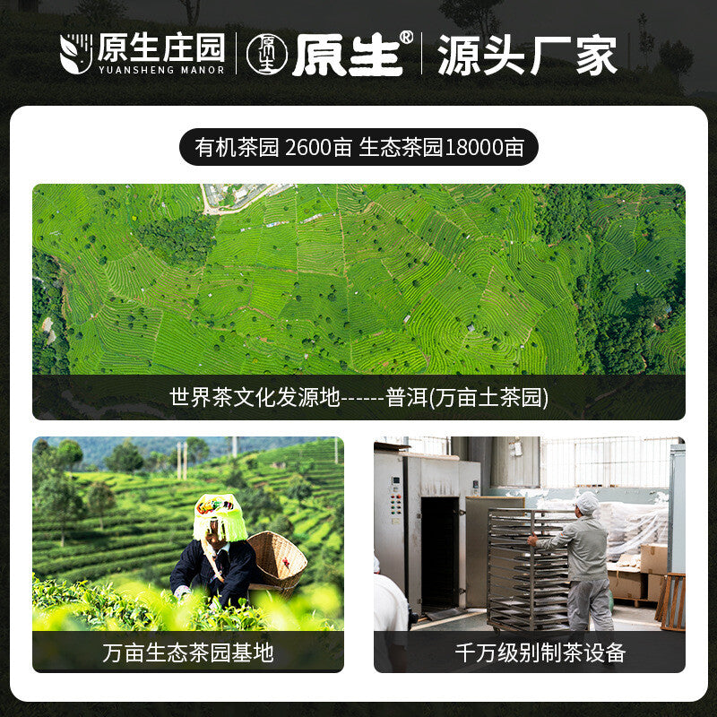 100% Pure Puerh Barbarian Brick Tea Hill Hundred Years 500g Ripe Tea Brick
