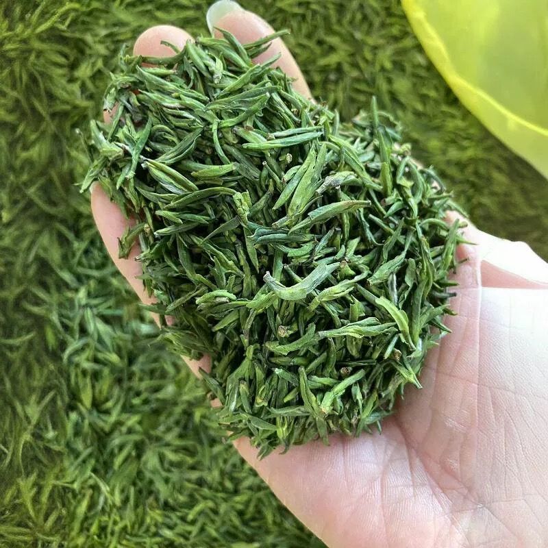 Wuyi High Mountain Spring Rain Tea 100g Premium Green Tea