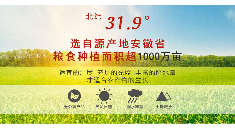 Puffed Gordon Euryale Seed Powder Cooked Powder Meal Replacement Grains Powder