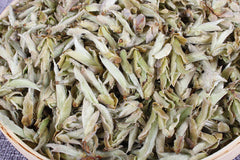 Puer Raw Tea, Yunnan Tea