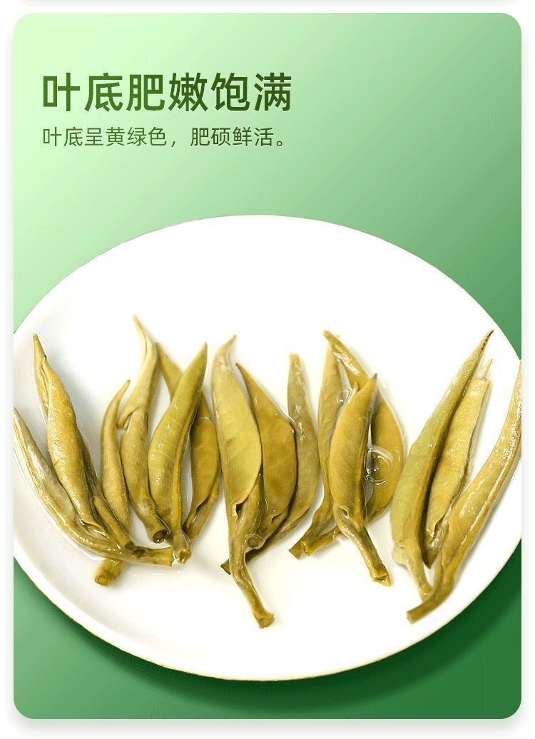 White Hair Silver Needle Premium White Tea Moonlight White Tea Ancient Trees125g