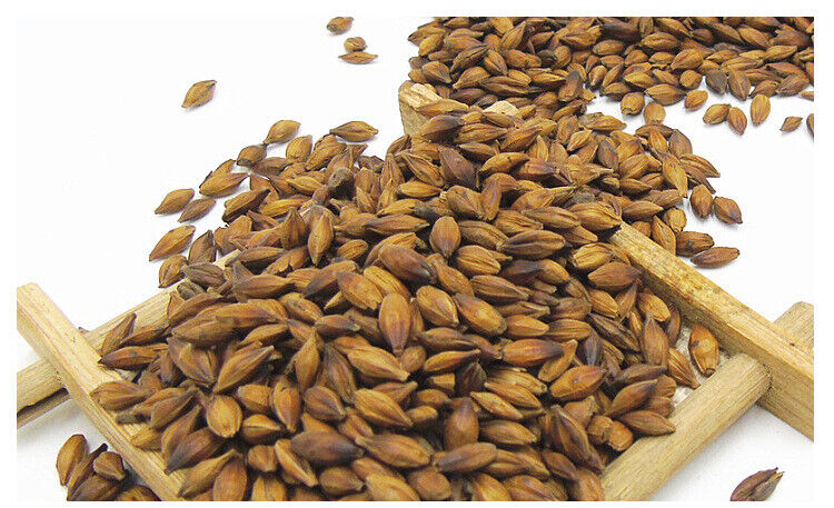 500g Hot sale Wang He Tang barley tea quality roasted taste mellow