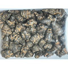 500g Black Radix Pseudoginseng, Premium Herb