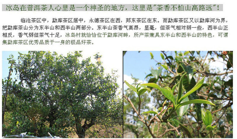 HelloYoungWholesale 250g Ripe PuEr Tea TREE High quality Yunnan Pu'er Puerh Tea