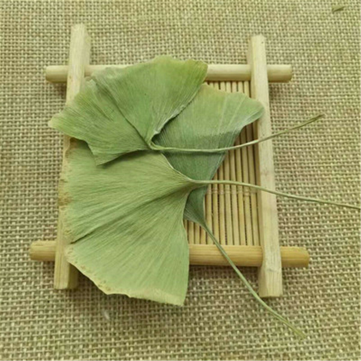 Ginkgo Biloba Leaves Chinese Wild Ginkgo Tea Medicinal Herbal Tea Loose Leaves