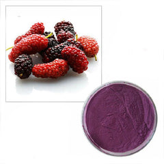 100g Natural Antioxidant Organic Mulberry Fruit Juice Extract Powder 10:1