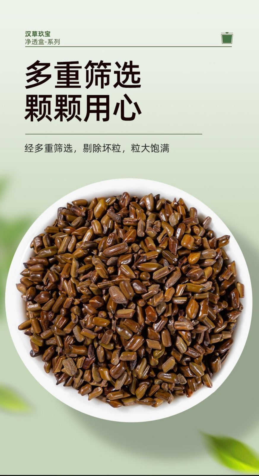 100% Natural Roasted Cassia Seed Tea Pure Herbal Digestive Infusion