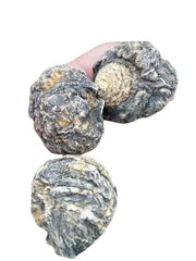 Extra Large Black Maca Kali River Maca Yunnan Maca Raw Materials Dried Fruit