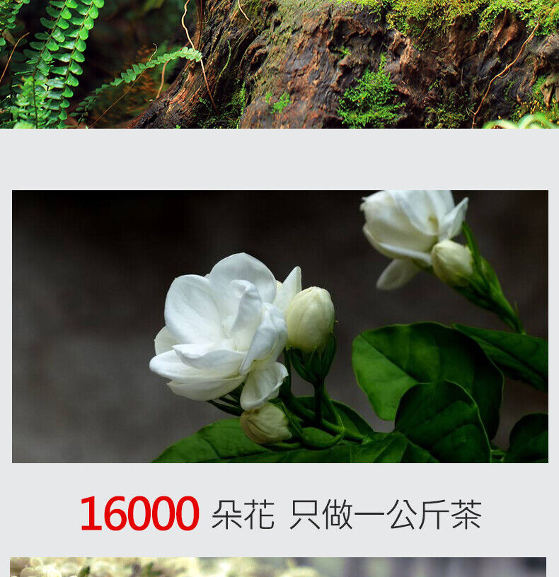 HelloYoung Strong Fragrance Jasmine Tea New Tea Loose Drifting Fragrance Herbal Tea 100g