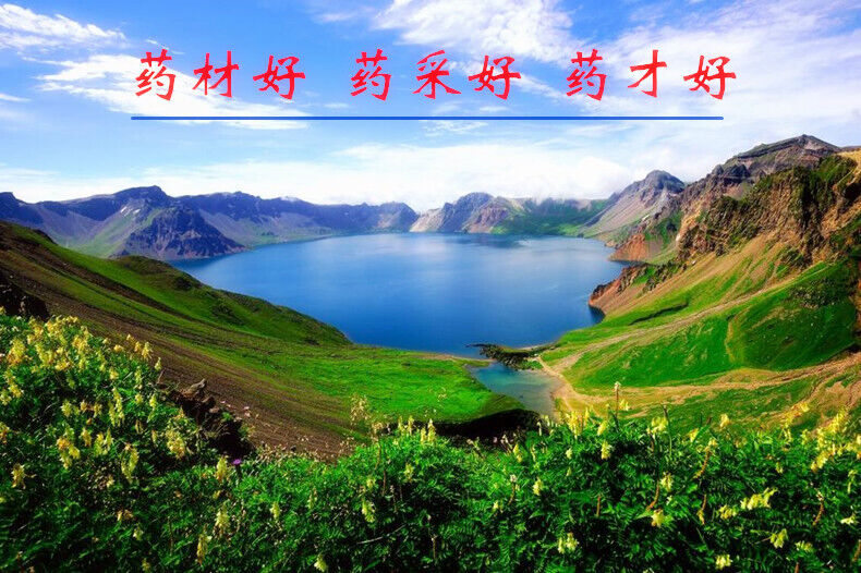 100g Changbai Mountain High Quality Ginseng Slices American Ginseng Slices