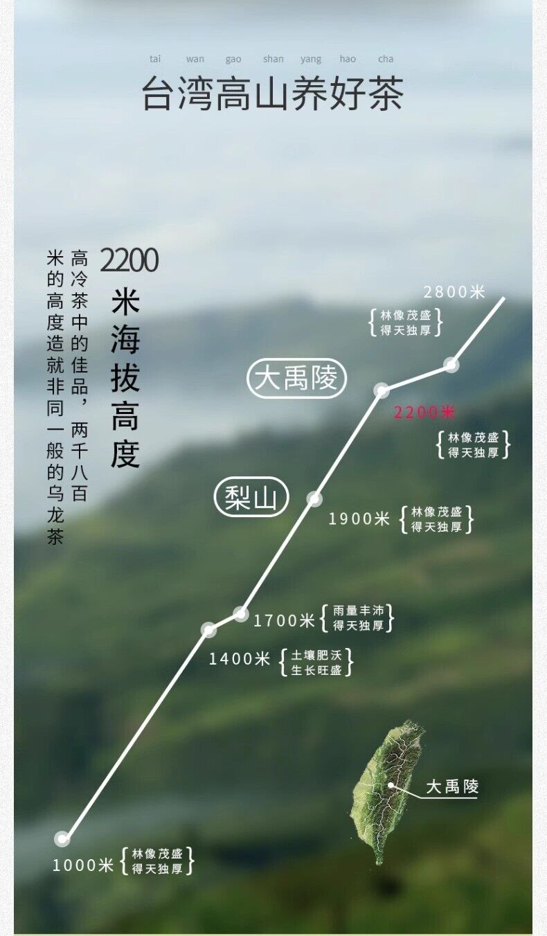 Tung-ting Tea Taiwan Oolong Tea High-mountain Tea 600g Dayuling Lishan Tea