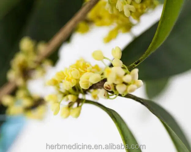 Dried Pure Sweet-scented Osmanthus Blossoms Natural Blooming Flower Tea 250g