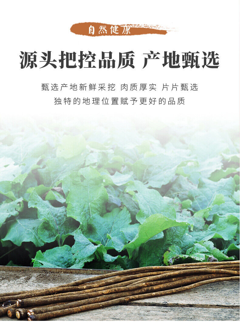 100g Canned Natural Herbal Wellness Direct Source Premium Burdock Tea