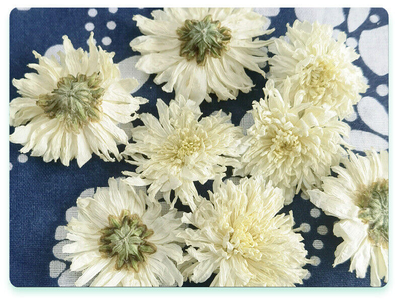 HelloYoung White Chrysanthemum Huangshan Chrysanthemum July Chrysanthemum Tribute 17.6oz