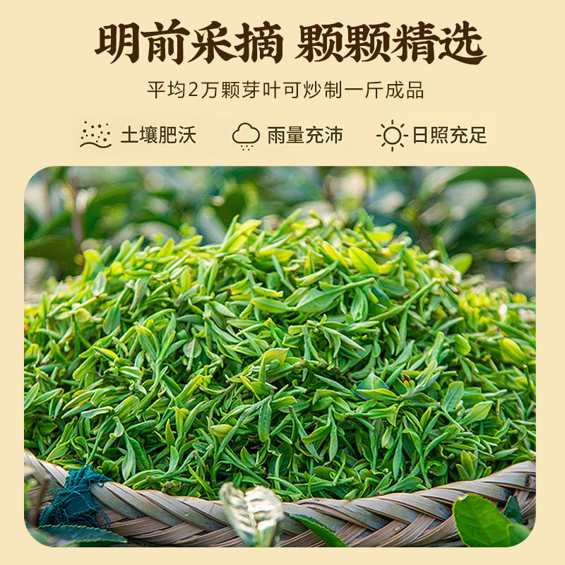 Longjing Green Tea First Flush250g Tin Packaged Fresh Mung Bean Aroma Spring Tea