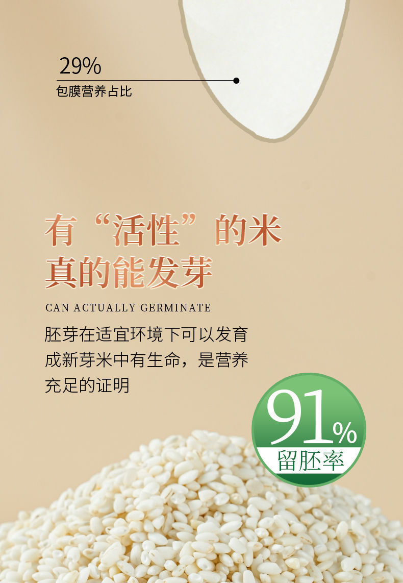 Germinated Unpolished Pearl Rice – Vacuum Sealed Green Food for Porridge