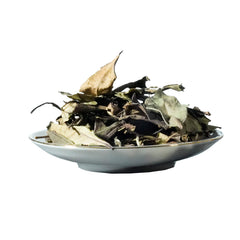 Wholesale Chinese famous high quality Fujian white tea high mountain snow buds